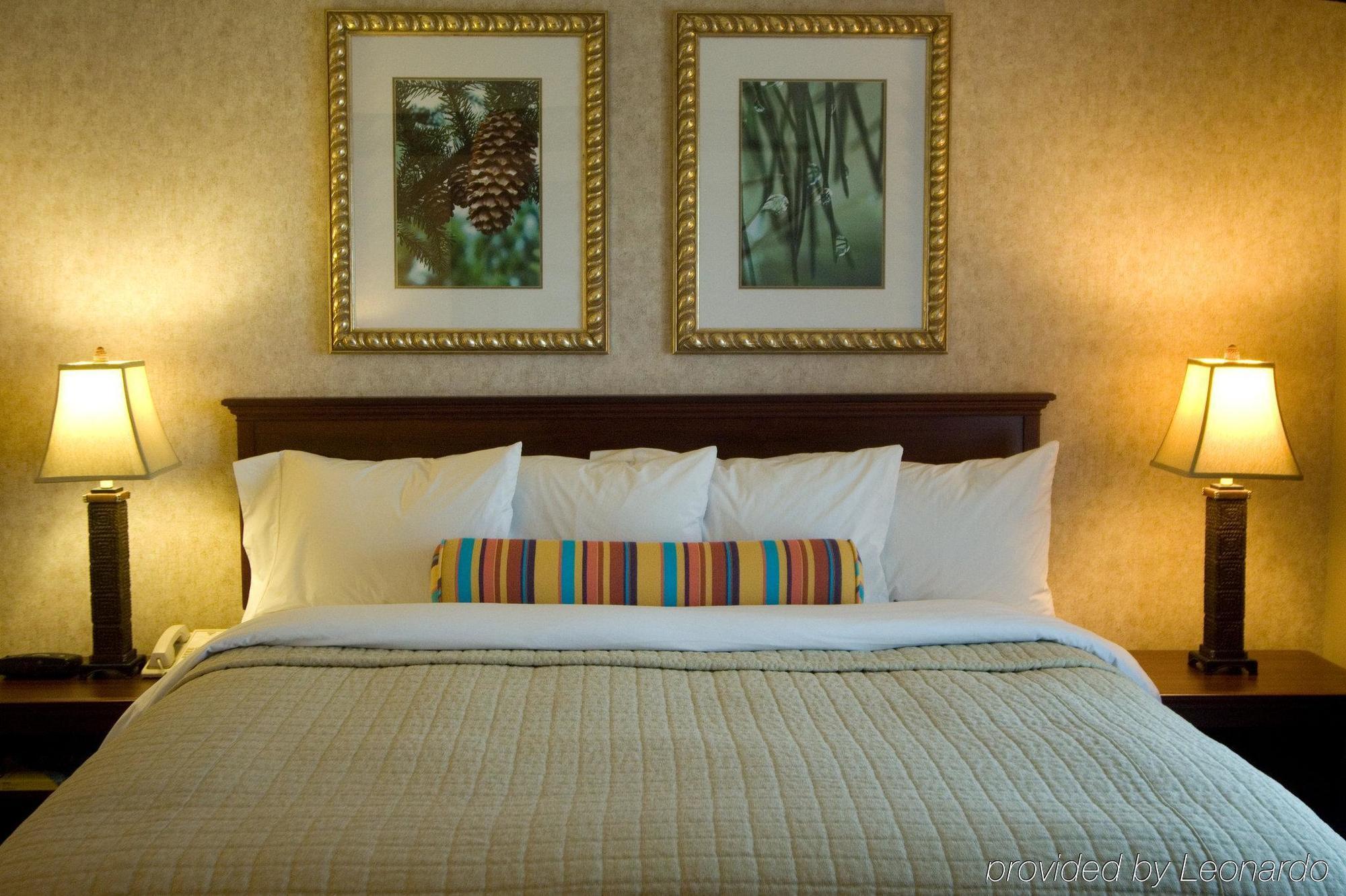 Phoenix Inn Suites Albany Værelse billede