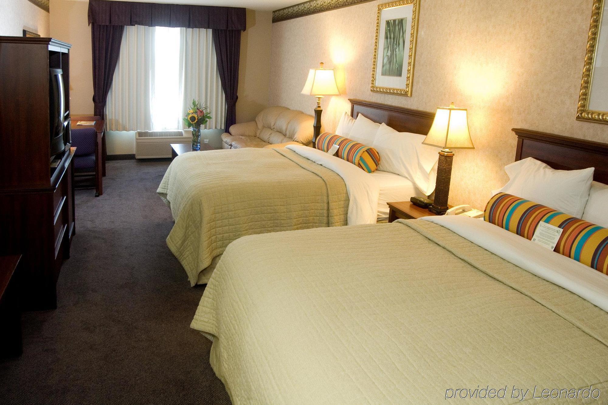 Phoenix Inn Suites Albany Værelse billede